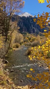 Vertical View Of San Miguel River During Fall Time In Telluride Colorado 