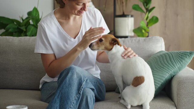 Woman spending time with dog at home, giving treat and petting her pet