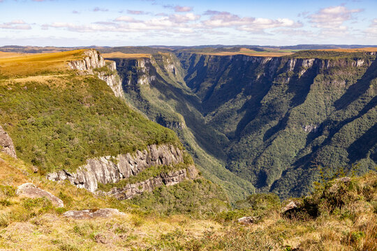 Vegetation and canyon edge at Fortaleza Canyon in southern Brazil
