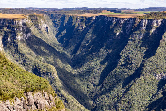 Vegetation and canyon edge at Fortaleza Canyon in southern Brazil