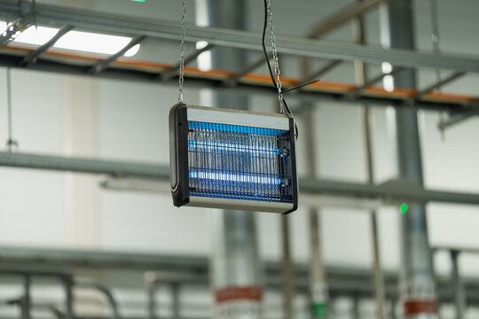Electric insect killer with illuminated tubes and protective grille suspended by chains, representing flying insect control equipment for industrial facility hygiene