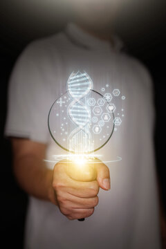 Hand holding magnifying glass on digital DNA double helix with floating medical icons. Genetic research, biotechnology analysis, DNA inspection, and genomics diagnostics. Vertical stock photo.