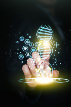 Finger touching glowing digital DNA double helix with floating medical hexagonal icons. Interactive genetic engineering, biotechnology analysis, gene editing, personalized medicine. Vertical photo.