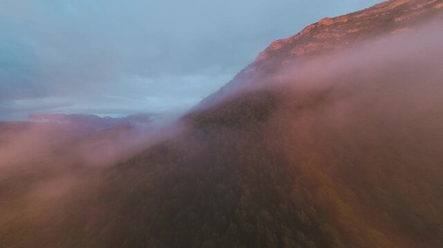 Atmospheric FPV flight through warm pink mist wrapping around a forested mountain slope with soft sunset light coloring the cloud and treetops