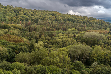Fototapeta premium Summer Mountains Landscape with Green forest.