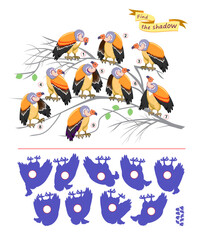 Fototapeta premium Best puzzles for kids. Can you find the shadow from each vulture? Write the numbers in circles. Hand drawn vector illustration. Educational game for children. Task for attentiveness. IQ test.