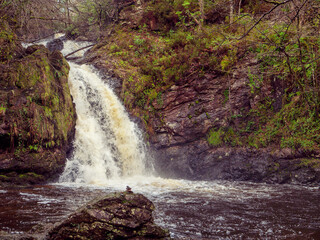 Tourmakeady waterfall in county Mayo, Ireland. Amazing Irish nature scene. Tourist attraction and park landmark. Mossy stones line a winding stream. Water cascades over dark, rugged rocks. © mark_gusev