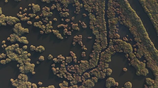 Aerial view of Gediz Delta  in Izmir city,  a major protected coastal wetland covering about 40,000 hectares at the confluence of the Gediz River and the Gulf of İzmir, T&uuml;rkiye