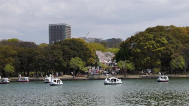 Ohori Park panorama in Fukuoka, Japan, Chuo-ku ward, Kyushu island, with pond, Ukimi-do pavilion, bridges and city skyline near Maizuru Park, lake and promenade in a spring sunny day