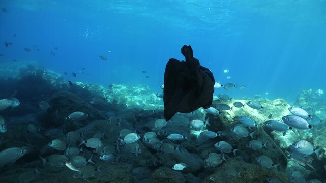 plastic bag underwater ocean pollution