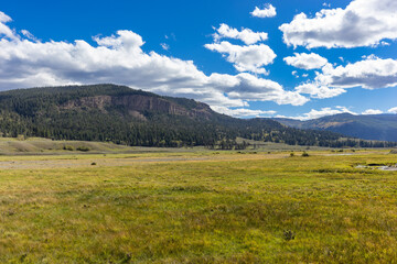 Obraz premium Yellowstone landscape with blue sky and clouds