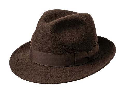 Classic Brown Felt Fedora Hat