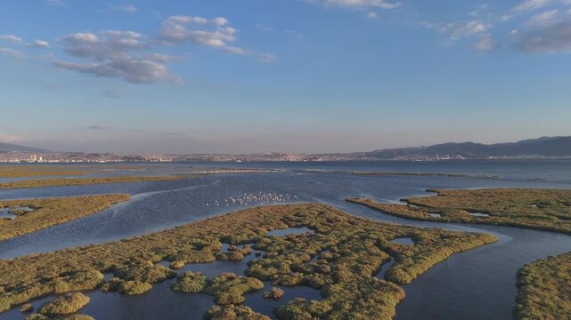 View of Gediz Delta with flamingos and Izmir city,  a major protected coastal wetland covering about 40,000 hectares at the confluence of the Gediz River and the Gulf of İzmir.