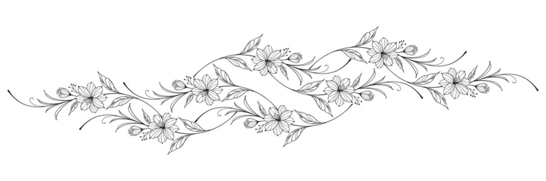 floral divider with leaves and flower botanical border black vector illustration isolated on transparent background