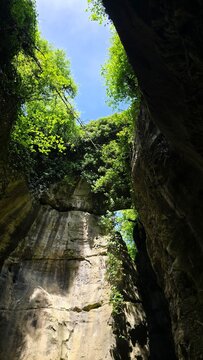 Looking Up Through Narrow Canyon Gorge with Sky and Foliage, Gorges du Fier, France