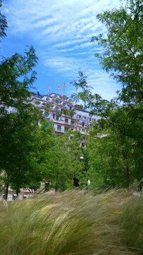 Waving tall grass and green trees in the foreground cover the view of the building. The Willard InterContinental Washington in Washington, D.C., United States. Vertical video.
