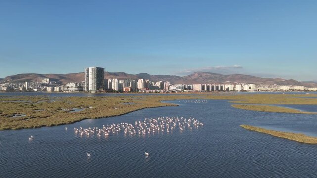 View of Gediz Delta with flamingos and Izmir city,  a major protected coastal wetland covering about 40,000 hectares at the confluence of the Gediz River and the Gulf of İzmir, T&uuml;rkiye