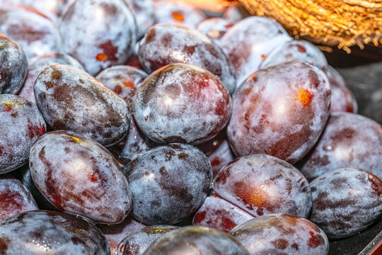 Fresh ripe black plums with natural bloom and water droplets isolated on a white background.