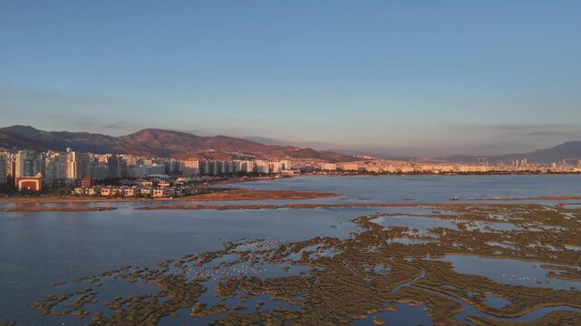 View of Gediz Delta with flamingos and Izmir city,  a major protected coastal wetland covering about 40,000 hectares at the confluence of the Gediz River and the Gulf of İzmir.