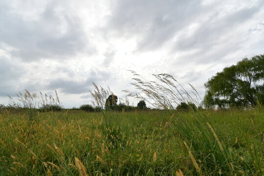 Clouds Over Grass in a Field