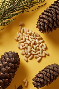 Close-up of pine nuts and cedar cones on a bright yellow background