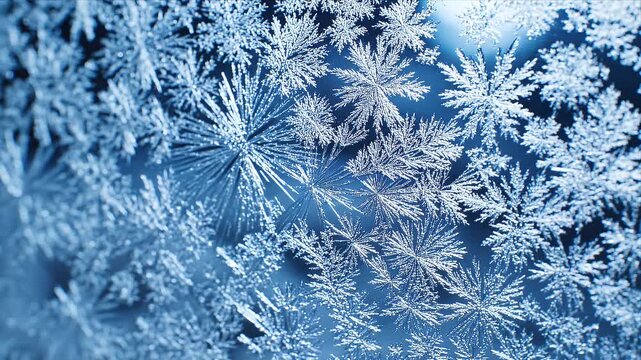 Intricate ice crystals forming on a frozen window pane