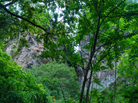 Vista en contrapicado de una imponente pared de acantilado rocoso enmarcada por exuberante follaje verde de &aacute;rboles en Morelos, M&eacute;xico.