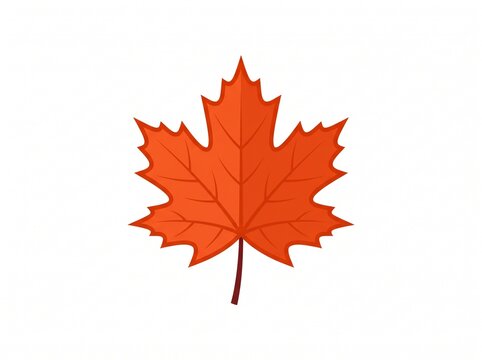 Maple leaf icon flat design isolated on white background