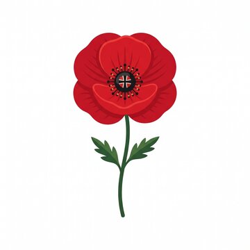 rememberance poppy over a light background