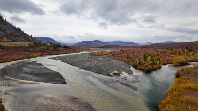 Braided river flowing through autumn tundra in Denali National Park