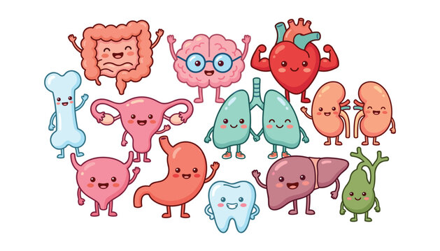 Cute human organs cartoon characters set with happy faces vector illustration collection for medical education kids design