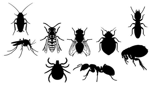 Household Pest Insects Black Silhouette Vector Icons
