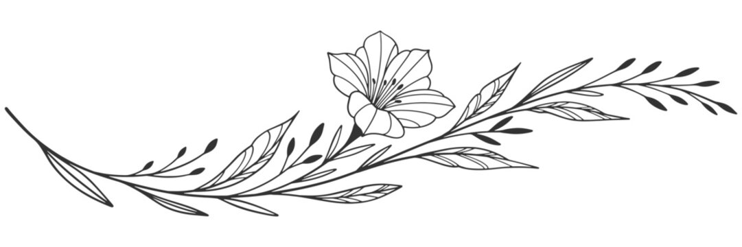 botanical branch in arcs form with flowers and leaves, intricate hand drawn vector eps