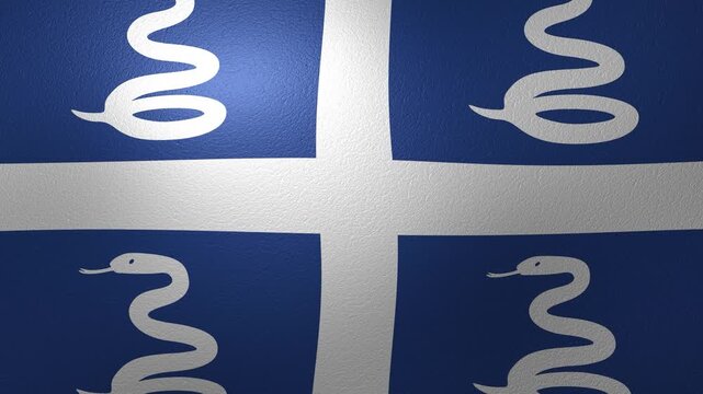 Martinique flag waving in the wind animation