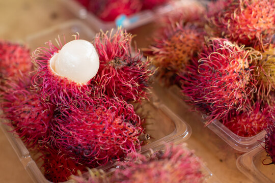 Small square, clear plastic containers on a table at a farmers' market filled with exotic tropical rambutan fruit. The edible fruit has a hairy, leathery rind, and inside is a sweet, creamy fruit.