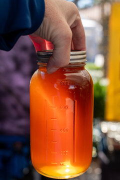 A man's hand grips a tall, clear glass bottle of honey, holding it downward. The sun is streaming through the bottle, turning the organic honey into glowing gold. The golden liquid honey is luminous. 