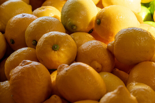 A plastic bin of whole organic lemons. The small, bright yellow citrus fruit has a textured rind and flesh. The harvest is for sale at a farmer's market. The oval edible food has a sour taste and zest
