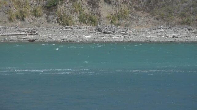 A line of birds flies in procession across the water at Jenner Beach, California.