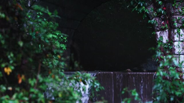 Cinematic dark stream under a stone bridge with green leaves in Japan for b-roll