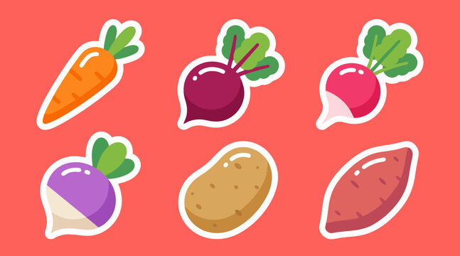 Vibrant vector illustration set featuring assorted root vegetables like carrots beets radishes potatoes and yams against a bright coral background