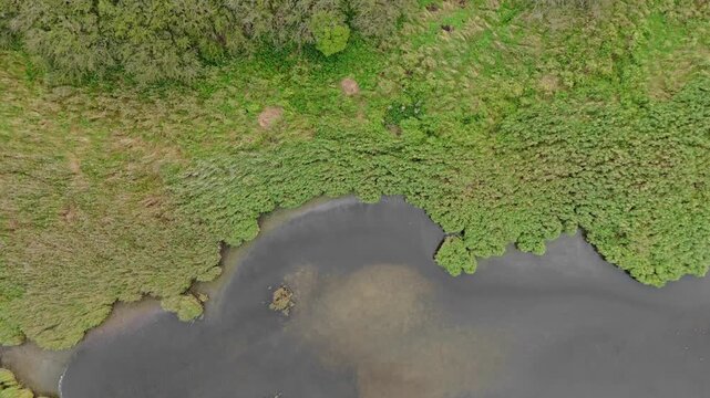Coastal Lagoon and Reed Beds on Ruegen Top Down Aerial View