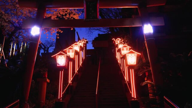 Nakatsukasa Magotaro Inari cyber shrine, Nishi Park, Chuo Ward, Fukuoka City, illuminated staircase with neon lit fox lanterns at night, Kyushu island, Japan, torii gate with cherry blossoms