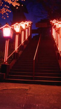 Nakatsukasa Magotaro Inari cyber shrine, Nishi Park, Chuo Ward, Fukuoka City, illuminated staircase with neon lit fox lanterns at night, Kyushu island, Japan, torii gate with cherry blossoms