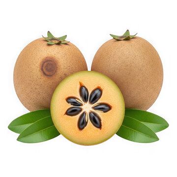 Fresh sapodilla fruit harvest with halved slices on transparent background.