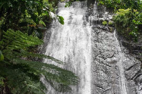 Tropical waterfall cascading down a dark rock face in the rainforest, El Yunque, Puerto Rico