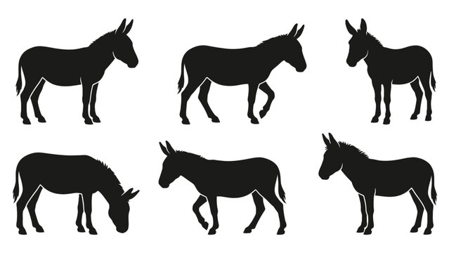 Black donkey silhouettes displayed in various walking grazing and standing poses on a plain background
