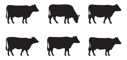 Set of black cow silhouettes featuring grazing and standing postures for livestock branding and farm design. © MD.RAHIM