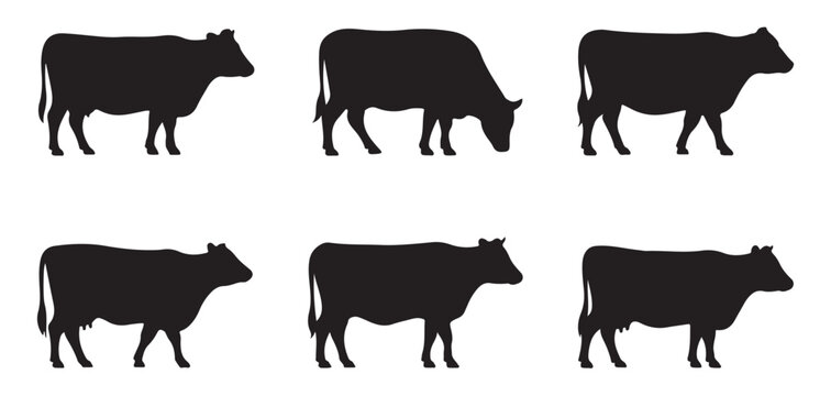Set of black cow silhouettes featuring grazing and standing postures for livestock branding and farm design.