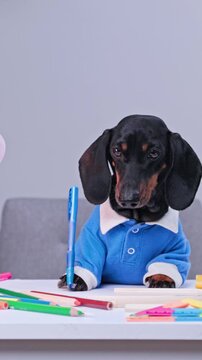 A black and tan dachshund dog wearing a blue collared shirt sits at a table holding a pen among colored pencils, a playful concept of back to school humor.