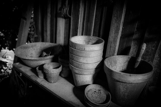 Black and white photo of garden pot plant pots